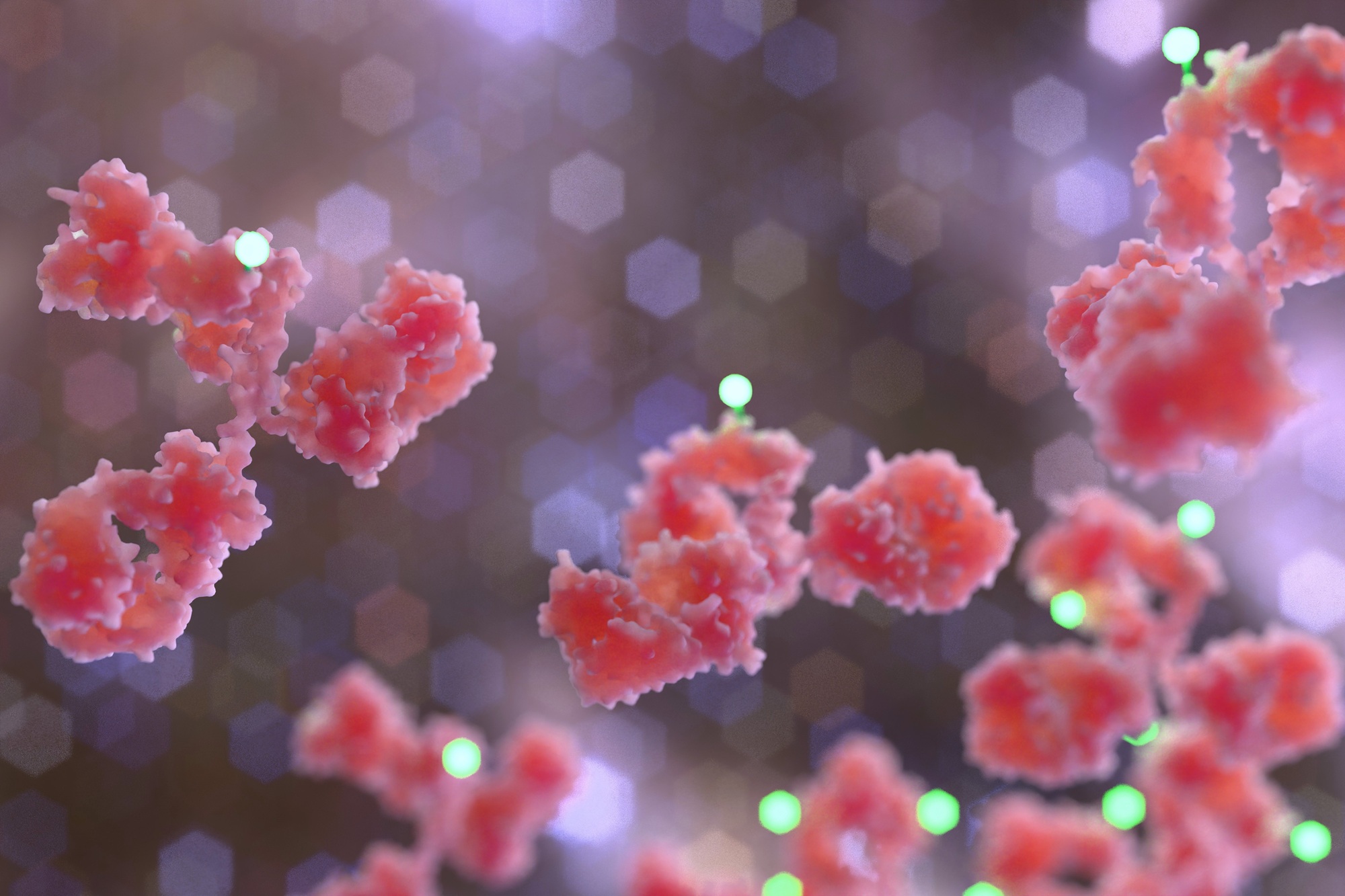 Antibody Modification